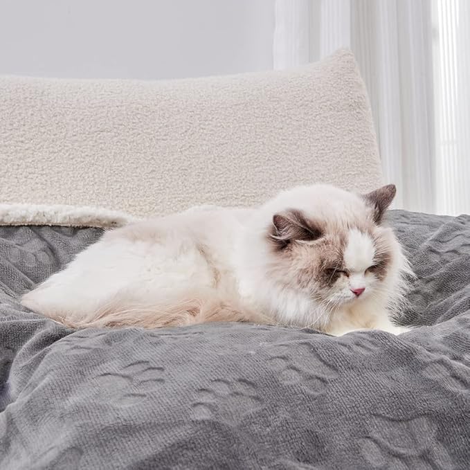 Qeils 1 Pack 2 Dog Blankets for Small Dogs - 2 pcs Waterproof Dog Blanket Washable - Soft Sherpa Fleece Puppy Blanket for Kitten Doggy, Warm Cat Blankets for Indoor Cats, 25"X30", Grey