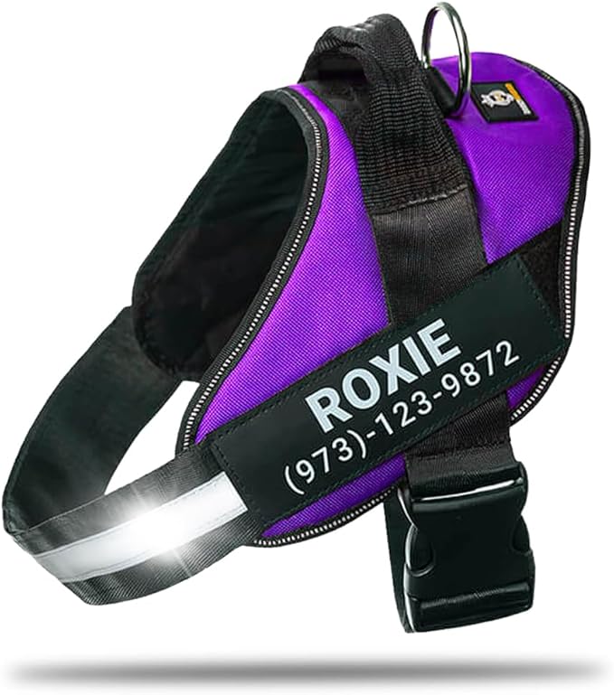 Personalized No-Pull Dog Harness with Name Patch, Adjustable, Reflective, Padded, Heavy Duty Pet Vest to Prevent Tugging, Pulling, or Choking, Training and Walking, Purple, L