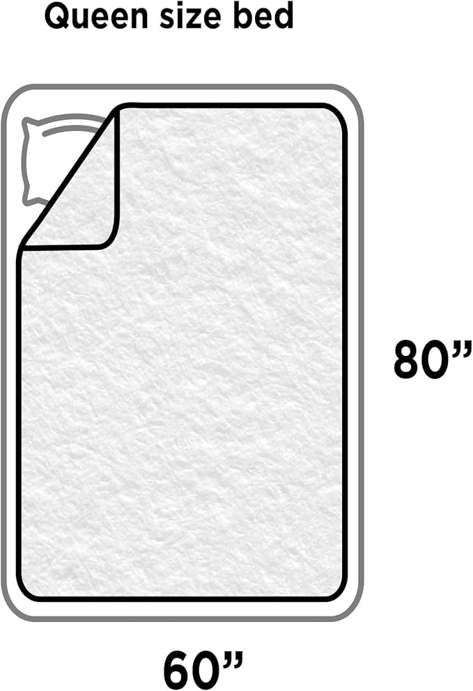 Best Friends by Sheri Calming Shag Cat and Dog Blanket with Non-Skid, Water Resistant Base, Machine Washable, Frost Gray, 60" x 80"