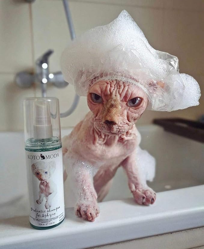 Probiotic Shampoo for Sphynx Cats (8.45)