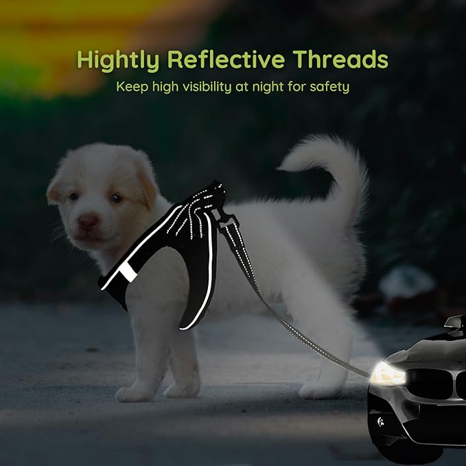 BELLA & PAL Step in Vest Harness for Small and Medium Dogs, No Pull Small Dog Harness with Leash Set, Comfortable Air Mesh Dog Vest Harness with Reflective Strip (Deep Black, M)