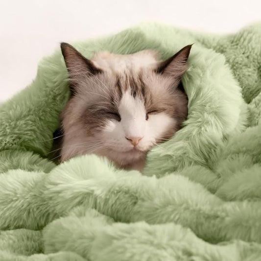 Dog Blanket Ultra Soft Fuzzy Faux Fur Cat Blankets for Indoor Cats Washable Reversible Pet Throw Protector for Couch Furniture 21"X 18" Green