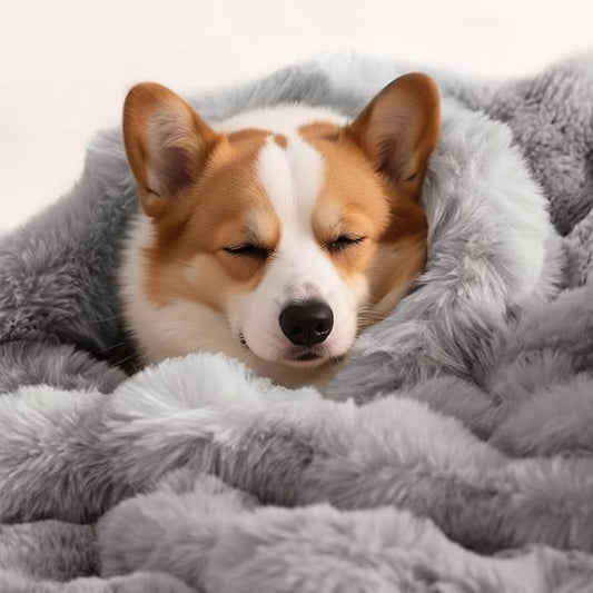 Dog Blanket Ultra Soft Fuzzy Faux Fur Cat Blankets for Indoor Cats Ultra Soft Plush Faux Fur Machine Washable Reversible Pet Throw Protector for Couch Furniture 39"X 30" Grey