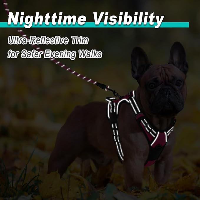 BARKBAY Dog Harness No Pull for Small Dogs - Adjustable, Reflective, Comfortable, No Choke, Heavy-Duty - Perfect for Outdoor Training, Walking, and Hiking - Strong & Durable - XS & Pink