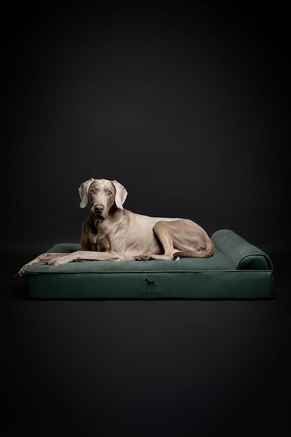 NOAH & PAW XL Dog Bed, 45x35x9.1 Inch, Orthopedic Large Dog Beds, Eggshell Memory Foam Infused with Cooling Gel, Waterproof, Machine Washable, Includes Inner Cover (Faux Leather)