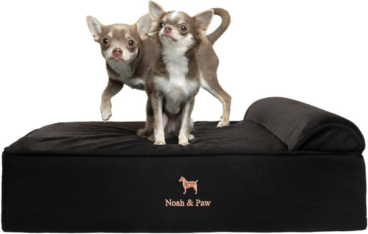 NOAH & PAW Dog Bed, 28x23x7.5 Inch, Orthopedic Dog Beds for Medium Size Pets, Eggshell Memory Foam Infused with Cooling Gel, Waterproof, Machine Washable, Includes Inner Cover (Denim Collection)