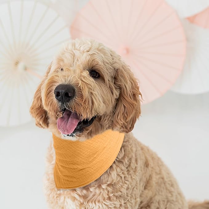 Medium Dog Solid Color Scarf - Adjustable Cotton Bandana with Button Fastening,Mid Yellow,Medium