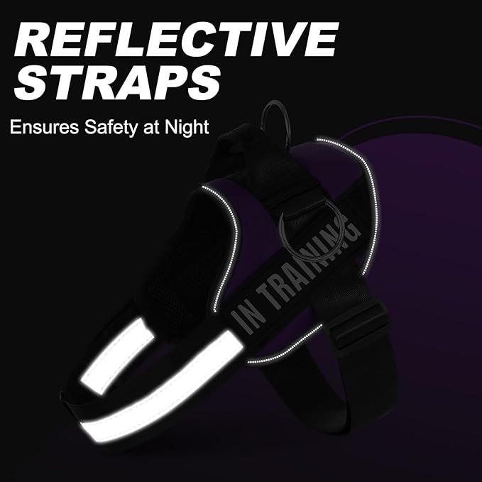 Essential Dog Harness with 3 Leash Clips - No-Pull, Adjustable, Comfortable Pet Vest Harness for Small to Large Dogs - Easy On, No Choke, Reflective, Padded Harness for Walking and Training