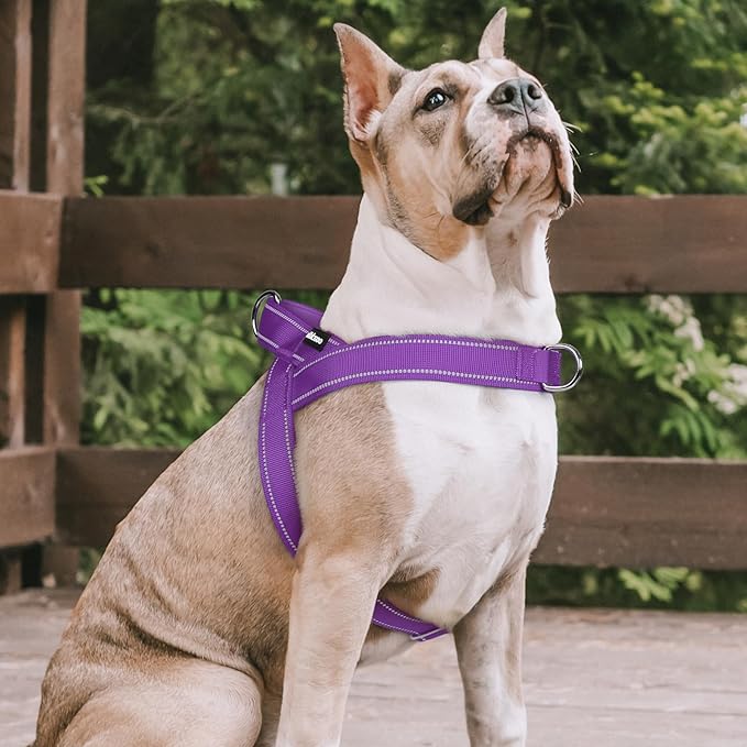 rabbitgoo Dog Harness No Pull, Quick Fit for Large Dogs with Soft Padded Handle, Chest Adjustable Reflective Pet Vest, No Choke Escape Proof for Walking Training, Purple M