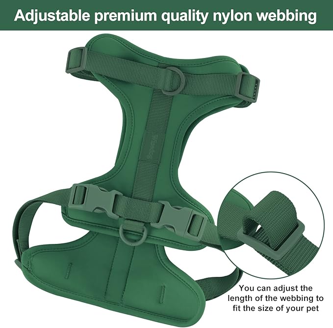 No Pull Lightweight Dog Harness: Adjustable Durable Breathable Mesh Pet Vest Harness with Soft & Comfortable Cushion, for Small Medium Large Dogs (S, Pine Green)