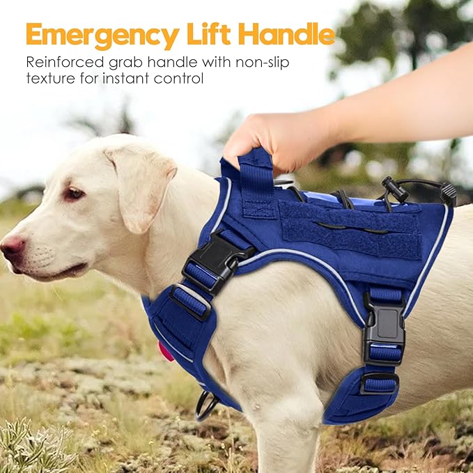 Heavy-Duty Tactical Dog Harness for Large Dogs, No Pull Adjustable Reflective Pet Vest with Molle System, K9 Military-Grade Control for Service Training, Outdoor & 10+ Breeds, Dazzling Blue, Small