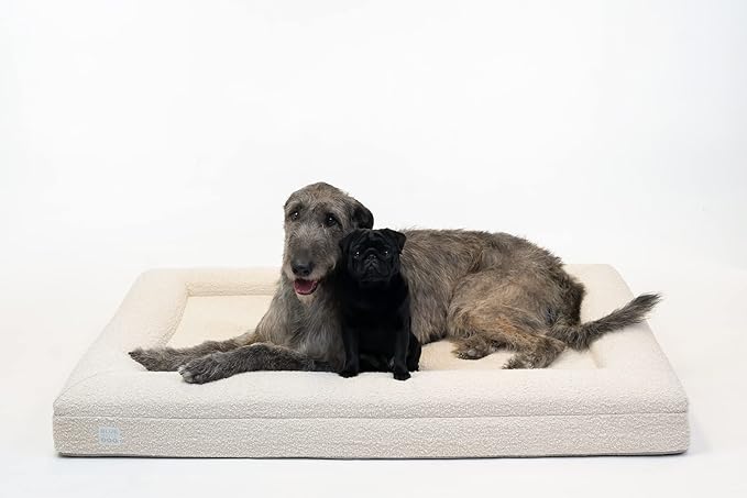 Luxury Boucle Orthopedic Memory Foam Dog Bed with Waterproof Liner and Machine Washable Cover with YKK Zippers (X-Large, 61" L x 44" W x 7" Th, Cloud)