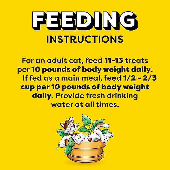 Temptations Classic Crunchy and Soft Cat Treats Blissful Catnip Flavor, 6.3 oz. Pouch (Pack of 10)