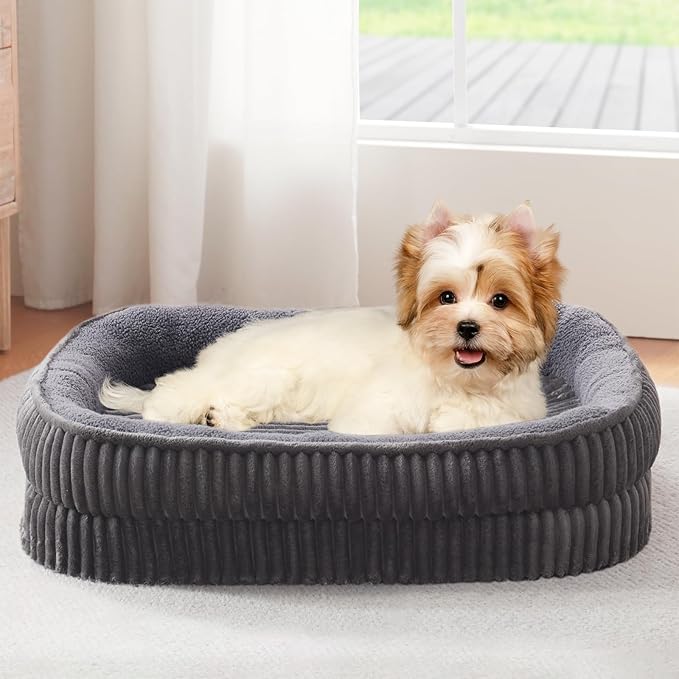 Orthopedic Dog Bed for Puppy,Extra Small Dogs Breeds,Oval Cat Bed,High Density Egg Crate Foam Dog Sofa Beds,Pet Couch Bed with Four Sided Bolster,Removable Washable Cover&Non-Slip Bottom