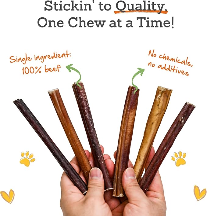 Advance Pet Products 6 Inch Bully Sticks (Pack of 5) - 100% Beef, Odor Free Dog Chews for Aggressive Chewers - Long Lasting, Gluten-Free, Easy to Digest, High Protein & Rawhide Free Chews for Dogs