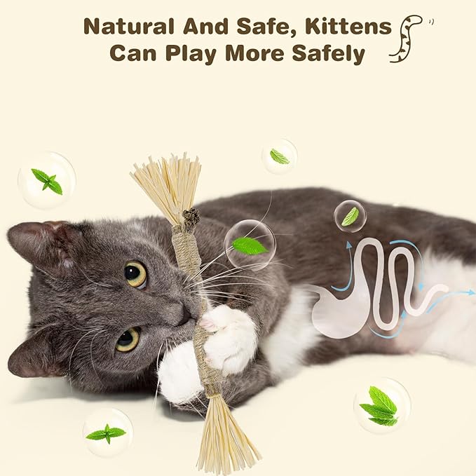 2 Pack Silvervine Sticks for Cats - Cat Chew Toy for Teeth Cleaning, Edible Matatabi Kitty Chew Sticks, Catnip Cat Toys for Indoor Cats (2 Sticks)