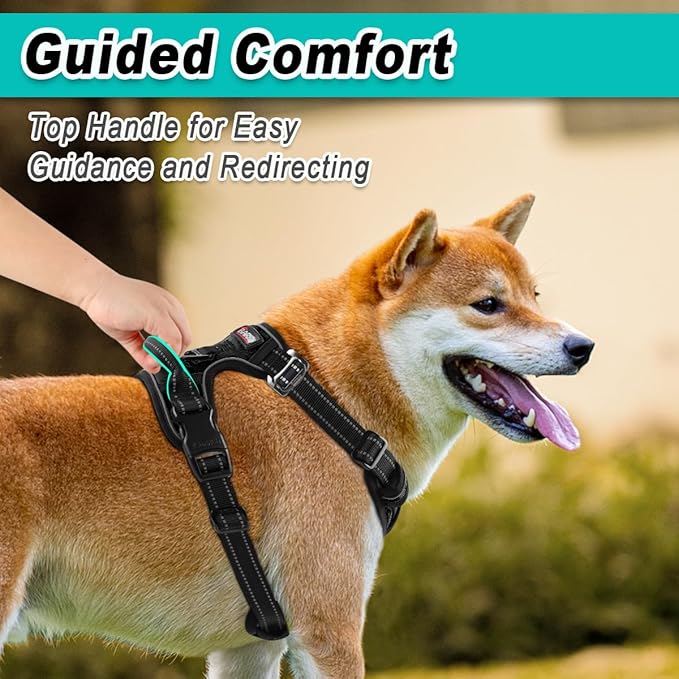 BARKBAY Dog Harness No Pull 3 Buckles for Medium Dogs - Adjustable, Reflective, Comfortable, No Choke, Heavy-Duty - Perfect for Outdoor Training, Walking, and Hiking - Strong & Durable - M & Black