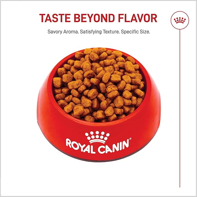 Royal Canin Yorkshire Terrier Adult Dry Dog Food, 2.5 lb bag