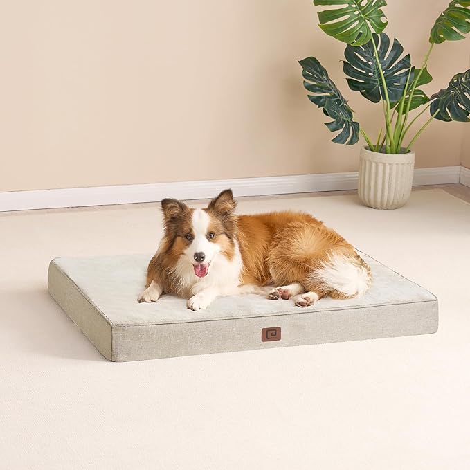 EHEYCIGA Waterproof Dog Bed Memory Foam 35x23, Orthopedic Dog Beds Mat for Large Dogs with Removable Cover, Beige