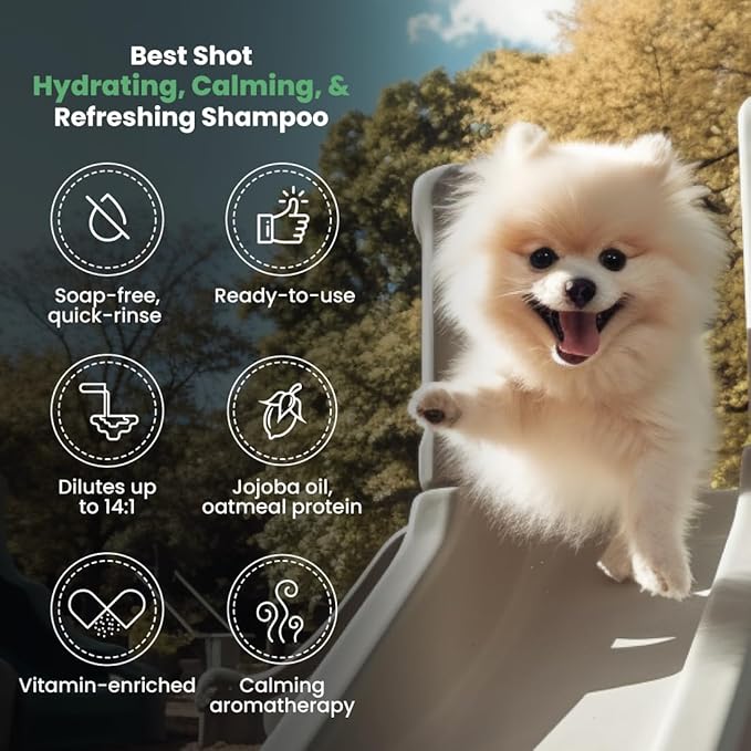 Best Shot Lemon-Aid Oatmeal Wash, Pet Shampoo for Dogs, Cats, and Horses, Ideal Pet Grooming Supplies, 16 Oz.