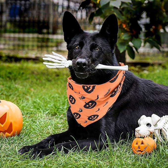 Kytely Halloween Dog Bandanas 2 Pack, Reversible Triangle Dog Bandanas for Boy and Girl, Multiple Sizes Offered, Pumpkin and Spider Web Bibs Fall Pet Scarf, Premium Durable Fabric (Large)