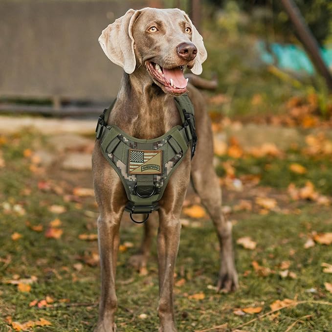 rabbitgoo Tactical Dog Harness for Small, Heavy Duty Pet Harness with Handle, No-Pull Service Vest Small Breed, Adjustable Military Dog Vest for Training Hunting Walking, Green Camo, S