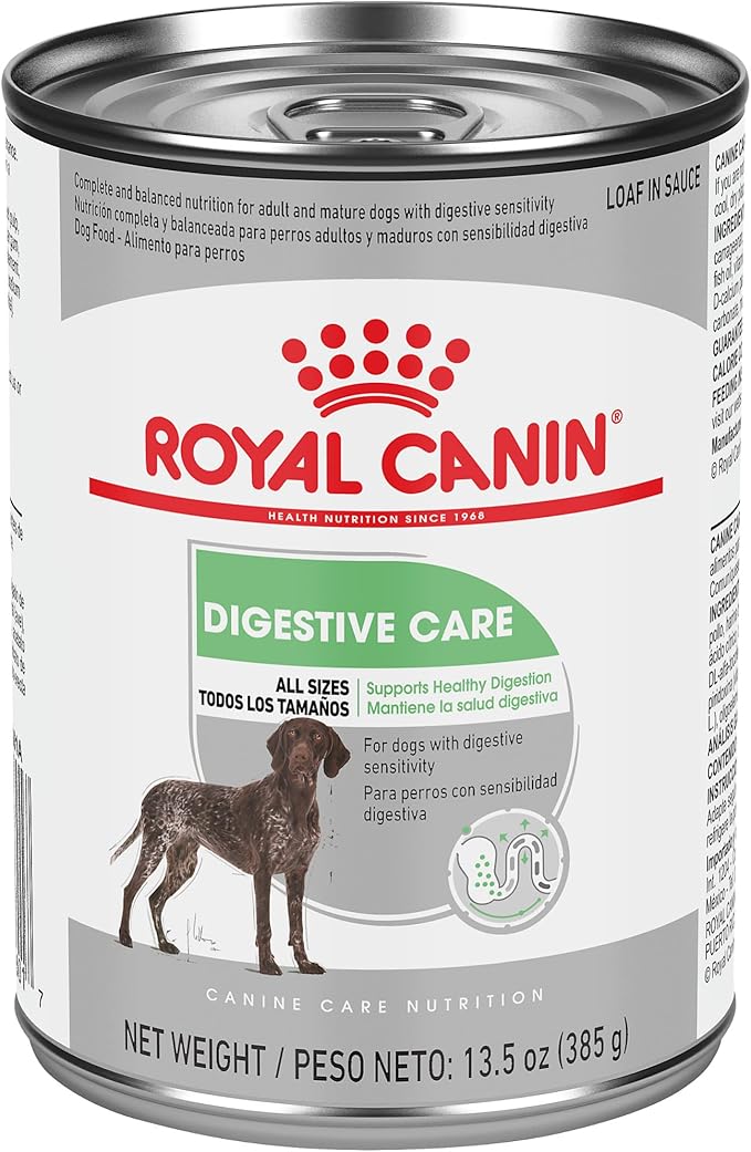 Royal Canin Canine Care Nutrition Digestive Care Adult Loaf in Sauce Dog Food, 13.5 oz (Pack of 12)