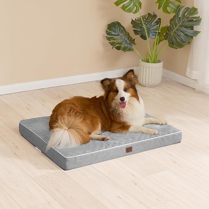EHEYCIGA Waterproof Dog Bed Memory Foam 35x23, Orthopedic Dog Beds Mat for Large Dogs with Removable Cover, Grey