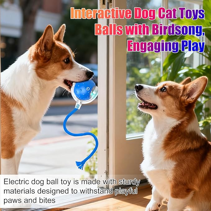 2pcs Tiny Fetch Dog Toy, Tinyfetch Interactive Dog Cat Toys Balls with Birdsong, 360° Smart Automatic Rolling Dog Ball Toy with Rope for Pets Indoor & Outdoor Play (Blue+Red)