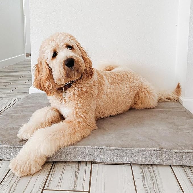 Diggs Snooz Memory Foam Dog Bed - Ideally Sized Revol Dog Crate Pad - Premium Orthopedic Pet Bed for Crate or Home - Grey, Intermediate