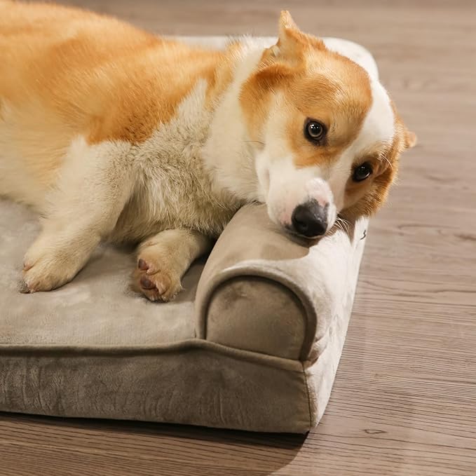 Amazon Basics Dog Bed with Cooling Gel Memory Foam, Pressure-Relief Support for Dogs up to 55lbs, Non-Slip Bottom, Machine Washable Cover, Large Sized (36" x 27"), Taupe