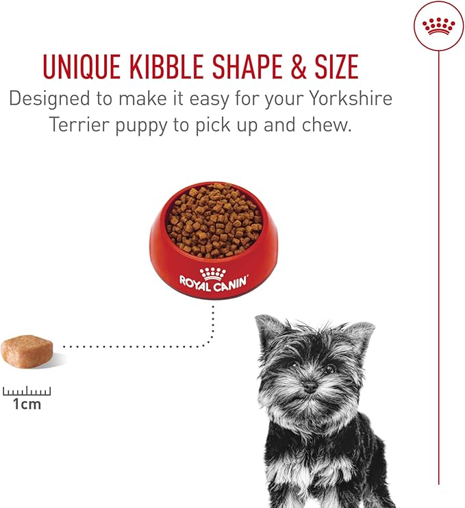 Royal Canin Breed Health Nutrition Yorkshire Terrier Puppy Dry Dog Food, 2.5 lb Bag