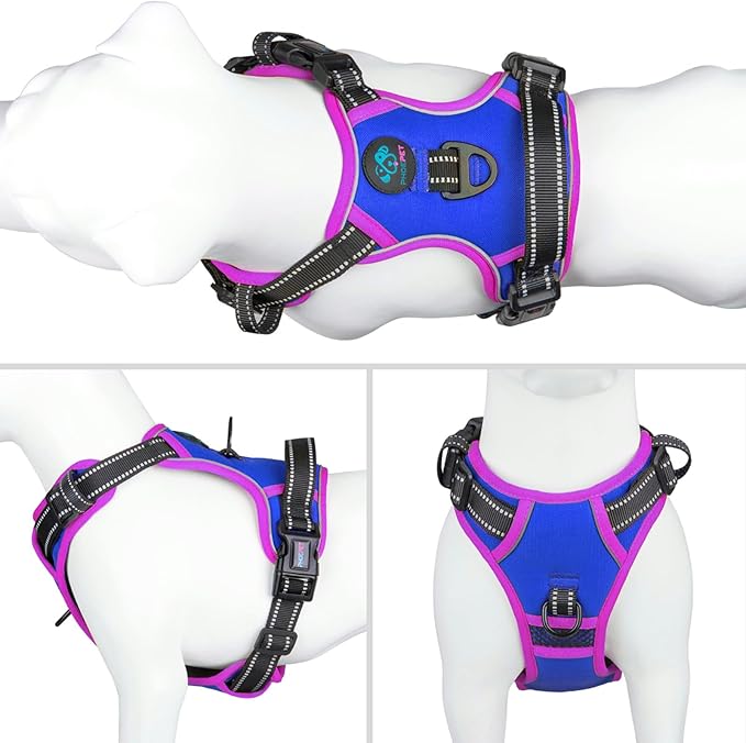 PHOEPET 2019 Upgraded No Pull Dog Harness, Reflective Adjustable Vest, with a Training Handle + 2 Metal Leash Hooks+ 3 Snap Buckles +4 Slide Buckles(S, Royal Blue)