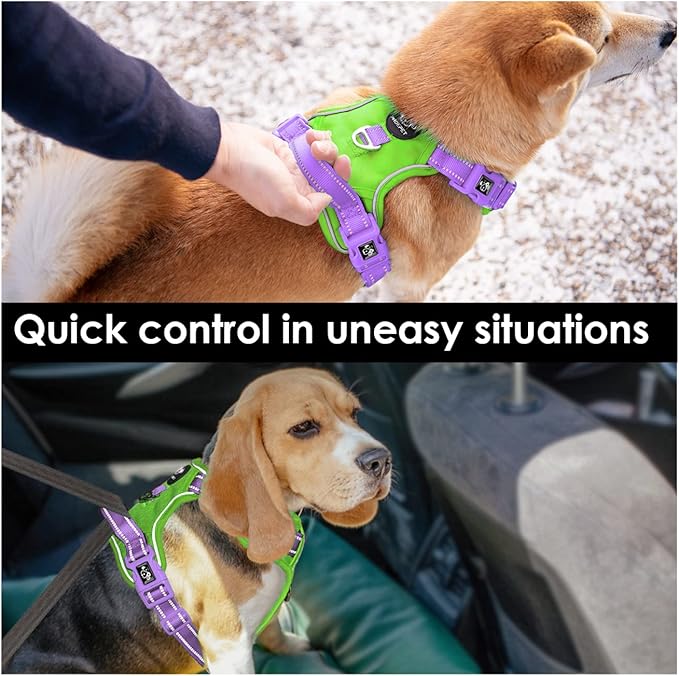 PHOEPET No Pull Dog Harness, Unique Colors Reflective Adjustable Dog Vest, with Soft Training Handle Metal Clips for Small Medium Large Dogs (Green Base & Purple Straps,S)