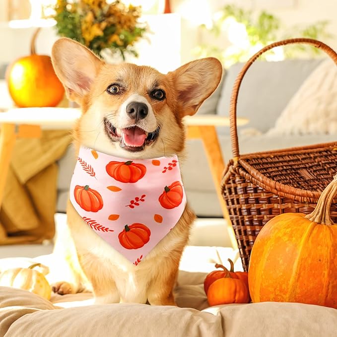 Preboun 200 Pcs Fall Thanksgiving Dog Bandana Bulk Pumpkin Maple Leaves Bandana for Dogs Triangle Kerchief Bib Scarf for Pets Autumn Costume Photo Props Accessories Pet Shops Adoption Event, 25 Styles