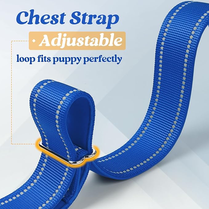 rabbitgoo Dog Harness No Pull, Quick Fit for Large Dogs with Soft Padded Handle, Chest Adjustable Reflective Pet Vest, No Choke Escape Proof for Walking Training, Blue L