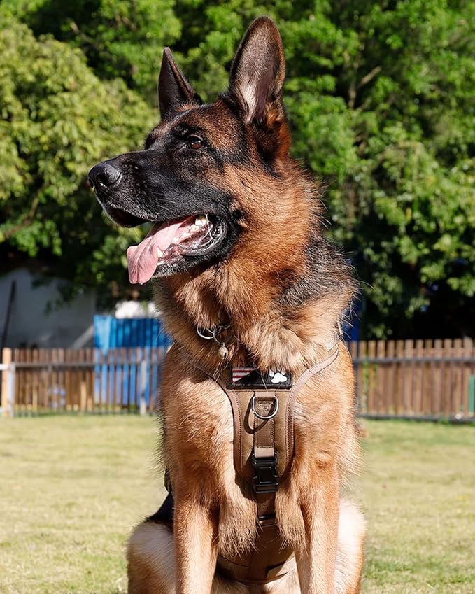 Tactical Dog Harness - PETNANNY Service Dog Vest for Large Dogs Fully Body Coverage in Training Dog Harness with 2 Reflective Dog Patches, Handle, Hook and Loop Panels, Dog MOLLE Vest (Khaki, M)