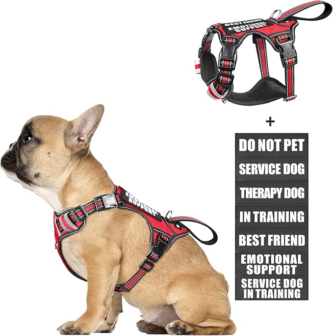 WINSEE Service Dog Vest No Pull Dog Harness with 7 Dog Patches, Reflective Pet Harness with Durable Soft Padded Handle for Training Small, Medium, Large, and Extra-Large Dogs (Small, Red)