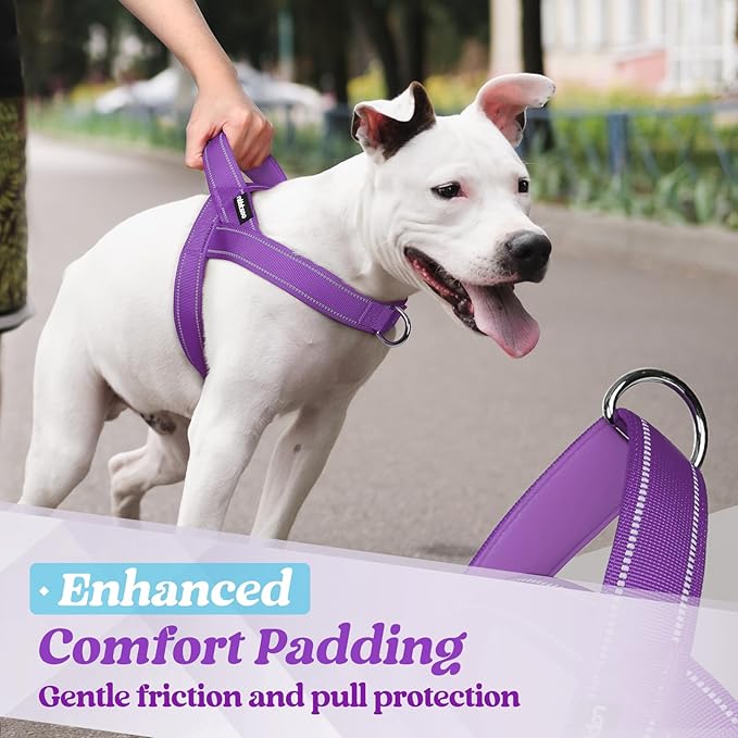 rabbitgoo Dog Harness No Pull, Quick Fit for Small Dogs with Soft Padded Handle, Chest Adjustable Reflective Pet Vest, No Choke Escape Proof for Walking Training, Purple S