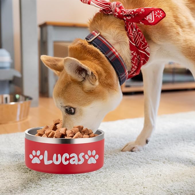 Custom Personalized Dog & Cat Bowls - Stainless Steel Non-Slip Water & Food Dishes - Easy to Clean, Dishwasher Safe - Small, Medium, Large Sizes (Red)