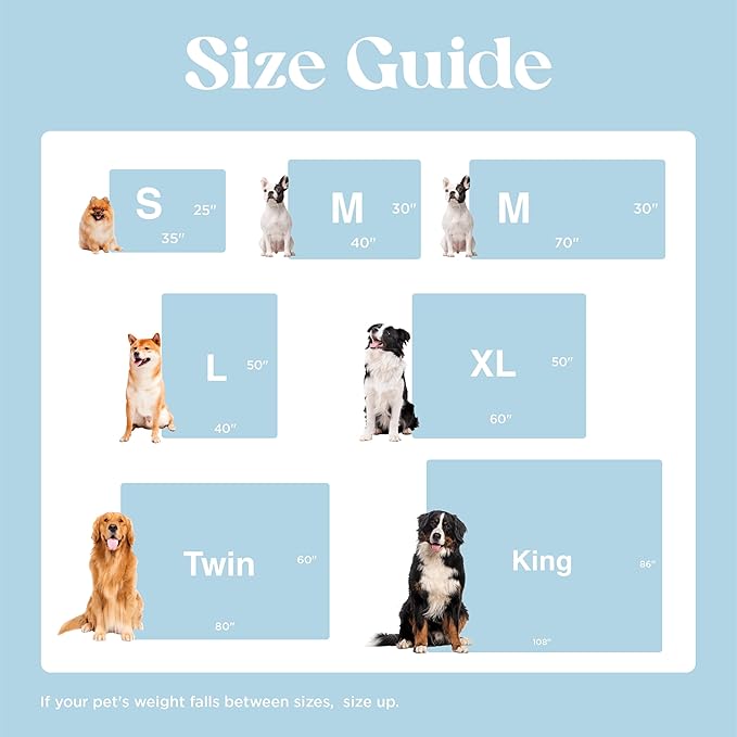 Lesure Waterproof Dog Blanket for Large Dogs - Washable Double Sided Dog Blankets with Warm Jacquard Shag and Soft Sherpa Fleece, Pet Cat Blanket for King Bed Protection, 3D Textured Cloud, Blue