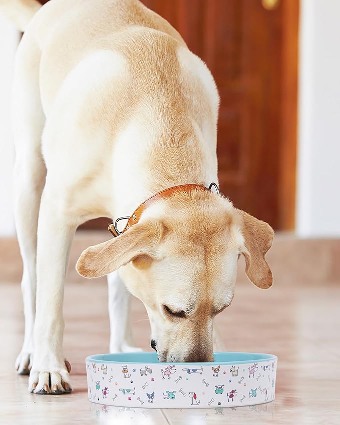 Slow Feeder Dog Bowl, Ceramic Dog Bowls 1.5 Cups Interactive Puzzle Feeder for Fast Eaters, Prevent Bloat & Choking, for Small Medium Large Dogs, Blue