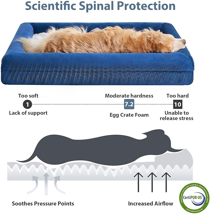 WNPETHOME XL Extra Large Dog Bed, Washable Dog Couch with Removable Waterproof Cover, Orthopedic Large Pet Sofa Bed with Bolster Sides for Sleeping