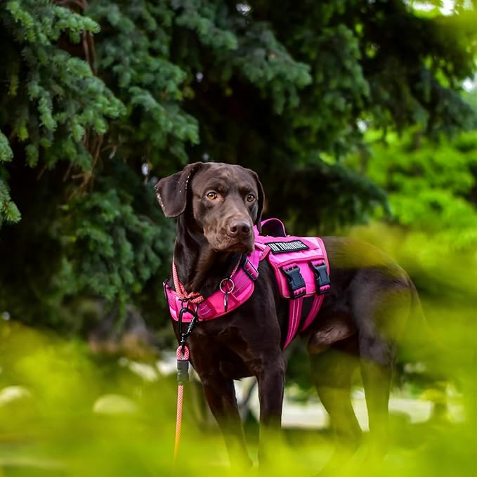 Dog Harness for Large Dogs Heavy Duty, No Pull Tactical Dog Harness with Molle System, Easy On and Off Service Dog Vest, Breathable Padded, Adjustable Reflective Pet Vest for Walking Hiking Training