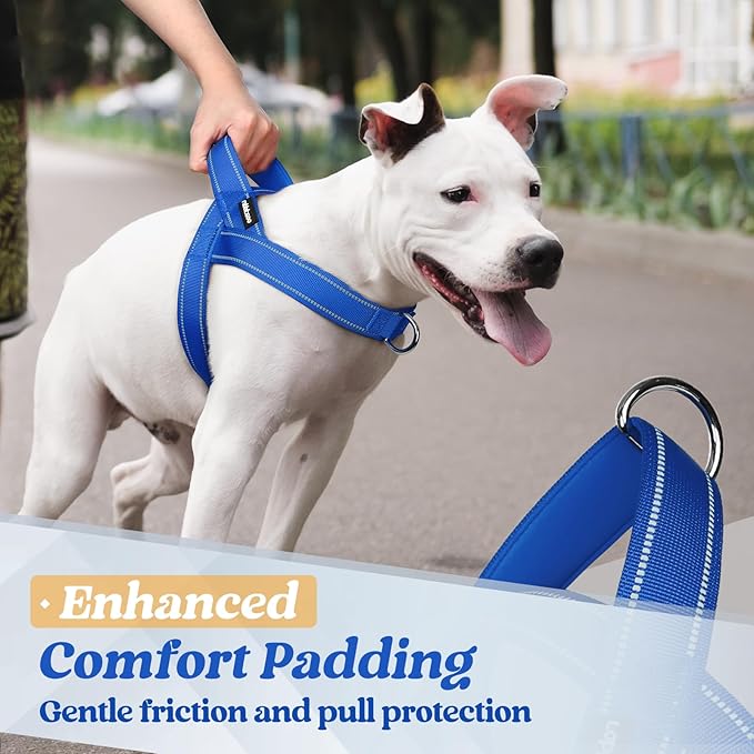 rabbitgoo Dog Harness No Pull, Quick Fit for Large Dogs with Soft Padded Handle, Chest Adjustable Reflective Pet Vest, No Choke Escape Proof for Walking Training, Blue L