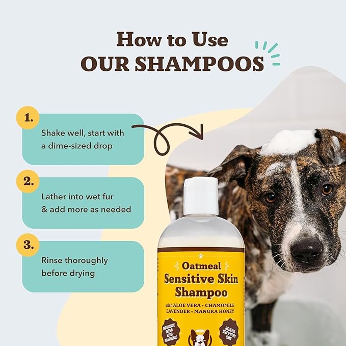 Natural Dog Company Itchy Dog Shampoo – Hypoallergenic, Paraben & Sulfate Free – Made with Aloe, Jojoba, Sea Kelp & Essential Oils – Soothes Dry, Irritated, Itchy Skin – Safe for All Dogs, 12 oz