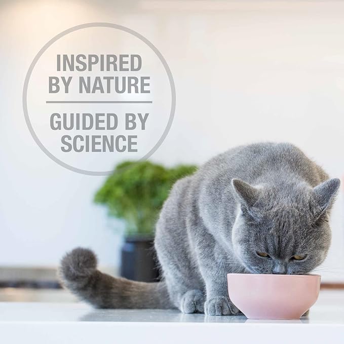 Feline Natural High Protein Dry Cat Food, Freeze-Dried Diet with 98% Meat, Organs & Seafood, No Peas, Grains, or Artificial Additives, Made in New Zealand, Chicken & Lamb, 3.5oz