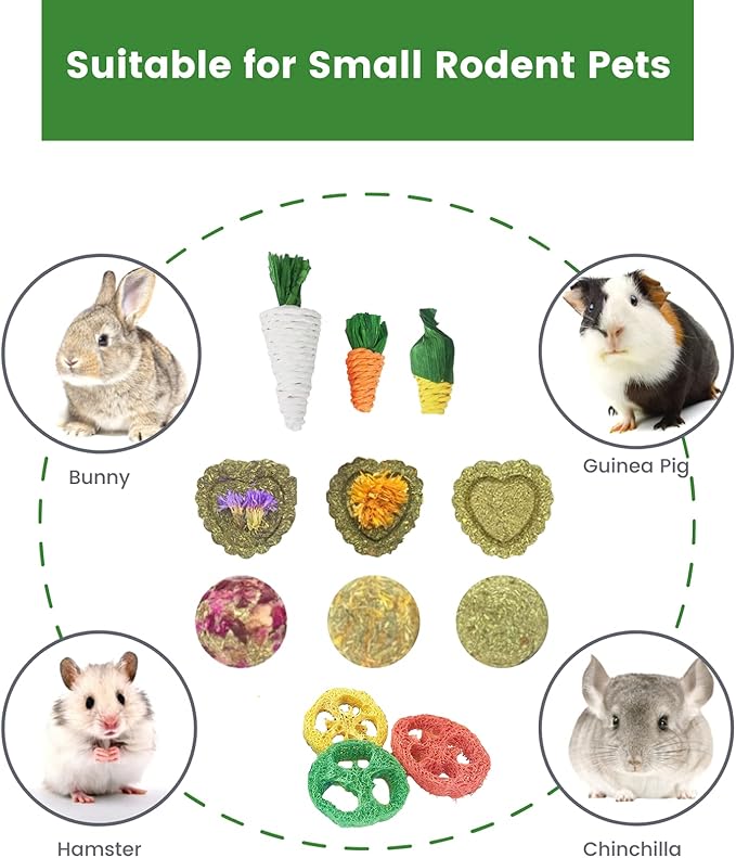 Lacrima Rabbit Bunny Guinea Pig Chew Toys 12PCS, Chew Toys and Treats for Rabbit Guinea Pig Hamster Chinchilla, Small Animal Teeth Care