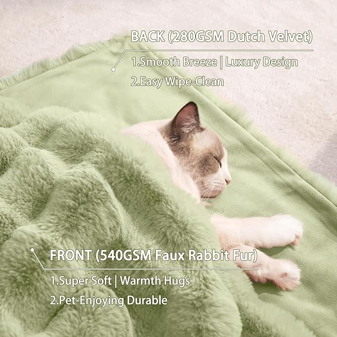 Dog Blanket Ultra Soft Fuzzy Faux Fur Cat Blankets for Indoor Cats Washable Reversible Pet Throw Protector for Couch Furniture 21"X 18" Green