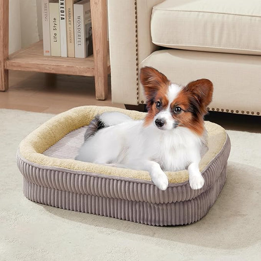 Orthopedic Dog Bed for Puppy,Extra Small Dogs Breeds,Oval Cat Bed,High Density Egg Crate Foam Dog Sofa Beds,Pet Couch Bed with Four Sided Bolster,Removable Washable Cover&Non-Slip Bottom